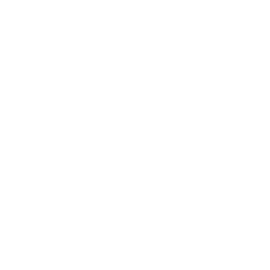 Share a craftsman painter profile