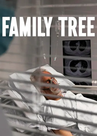 Family Tree – Portuguese drama