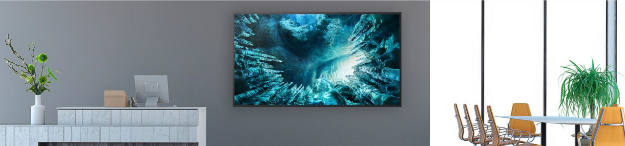 Sony BRAVIA Serie BZ40J Banner