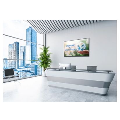 Sony BRAVIA Serie BZ40H Installation