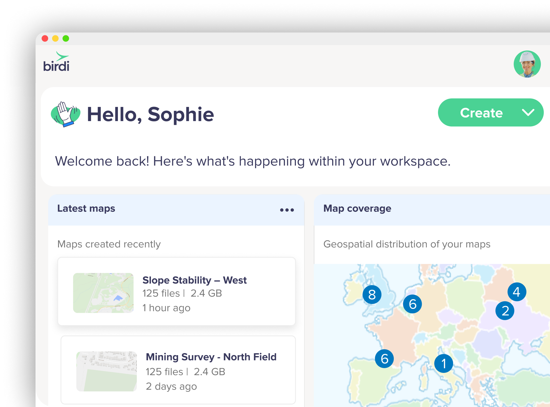 Birdi is built for teams, not just GIS specialists