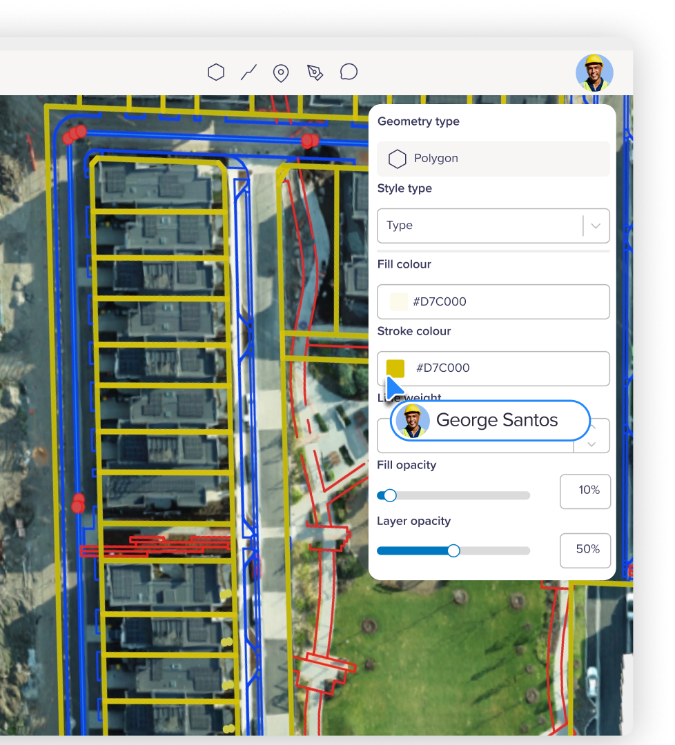 Birdi is built for teams, not just GIS specialists