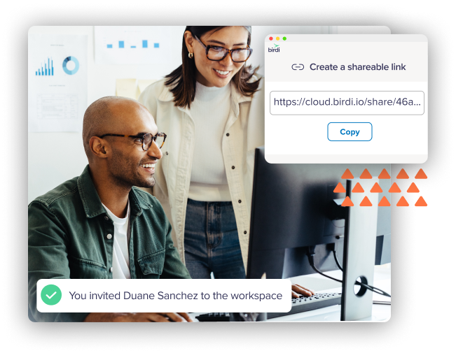 Birdi is an affordable geospatial software
