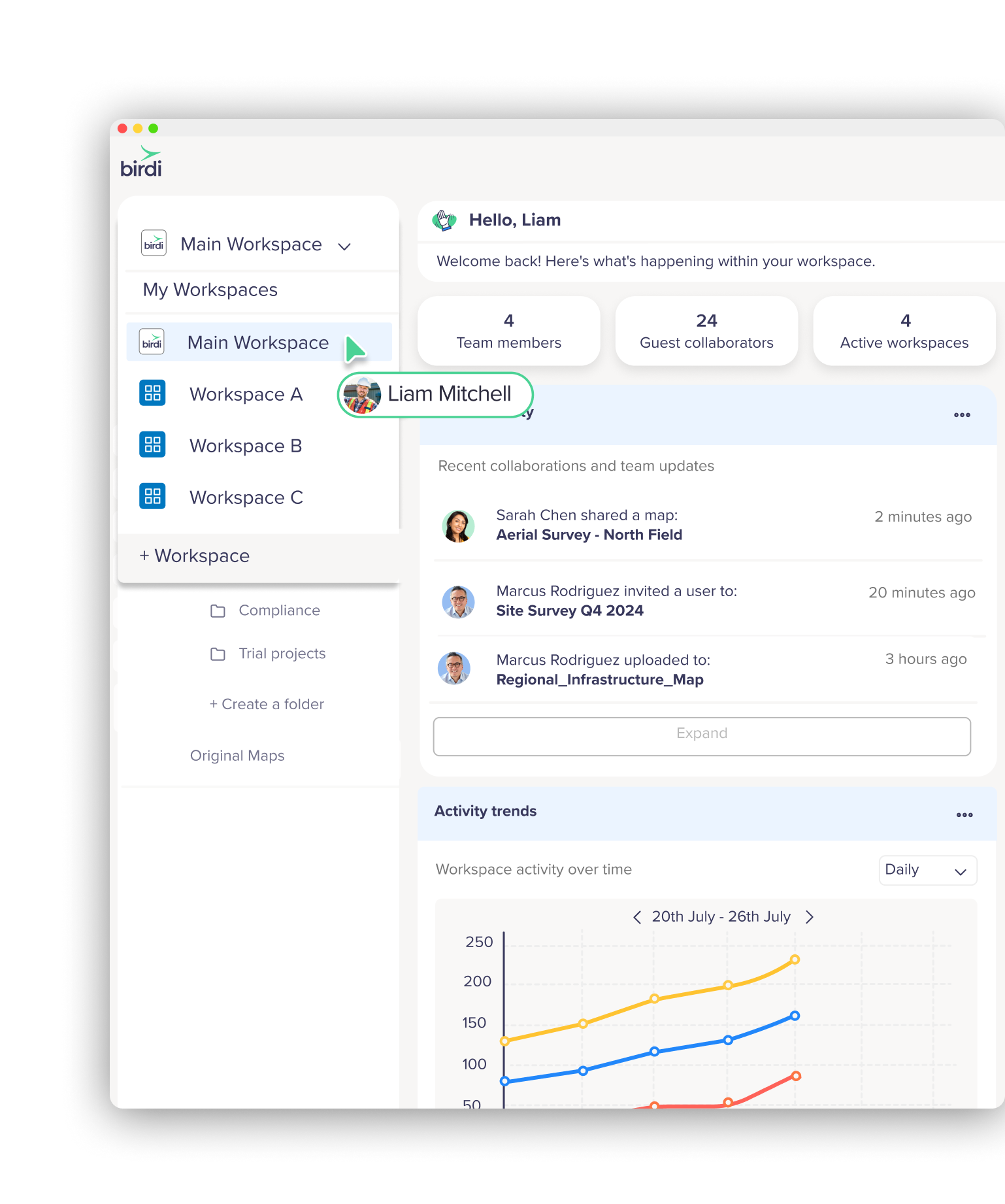 Birdi is built for teams, not just GIS specialists