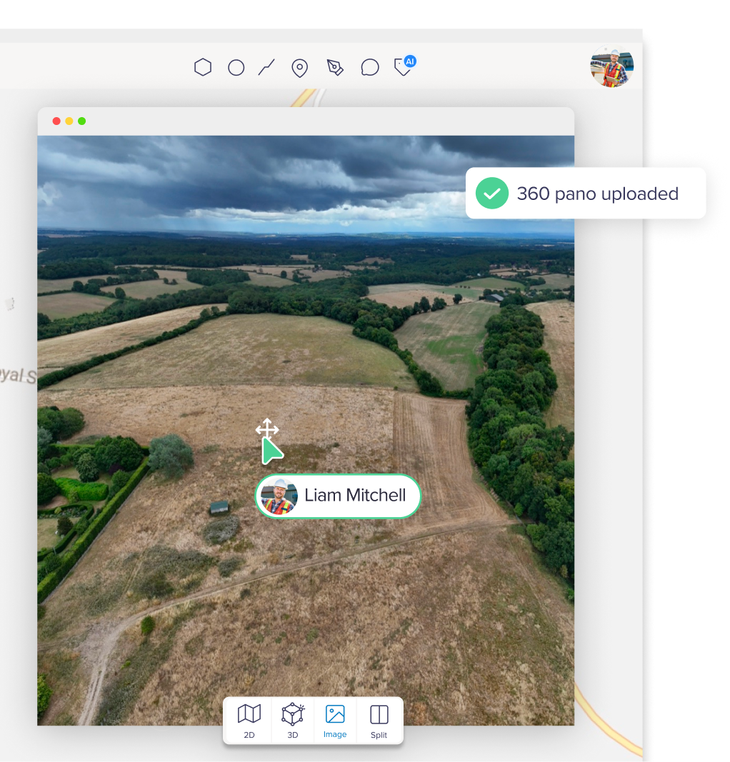 Birdi is built for teams, not just GIS specialists