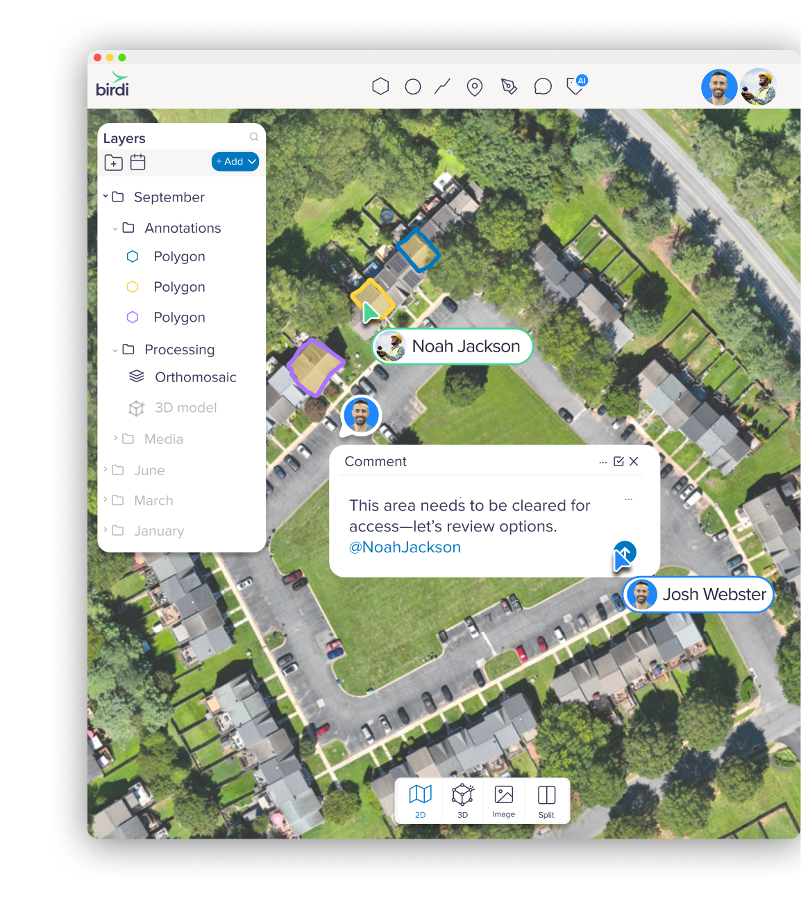 Birdi is built for teams, not just GIS specialists