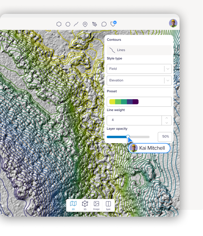 Birdi is built for teams, not just GIS specialists