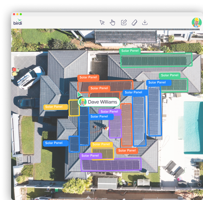 Birdi is built for teams, not just GIS specialists