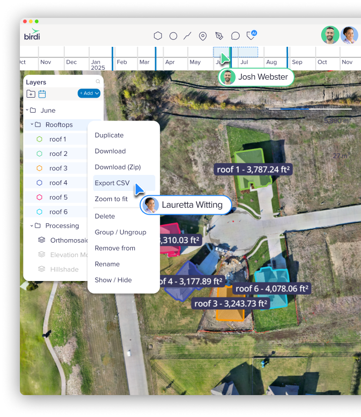 Birdi is built for teams, not just GIS specialists