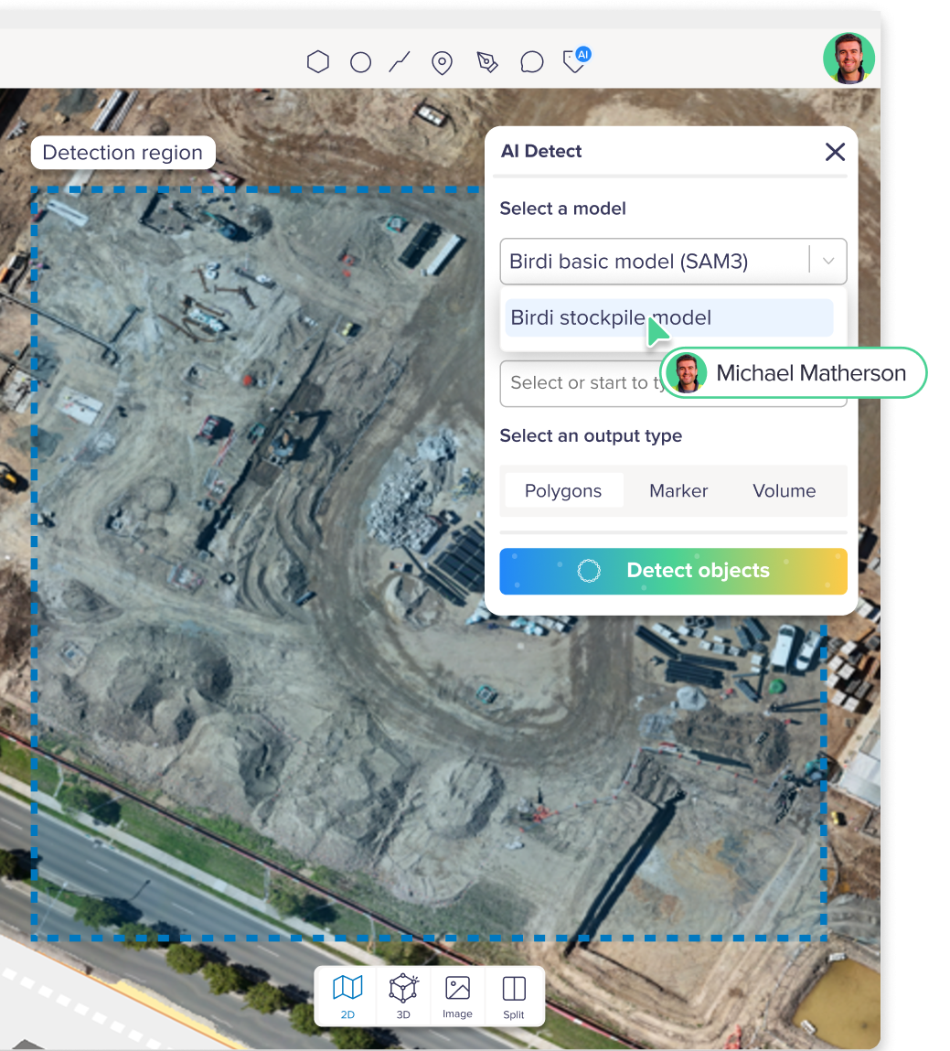 Birdi is built for teams, not just GIS specialists