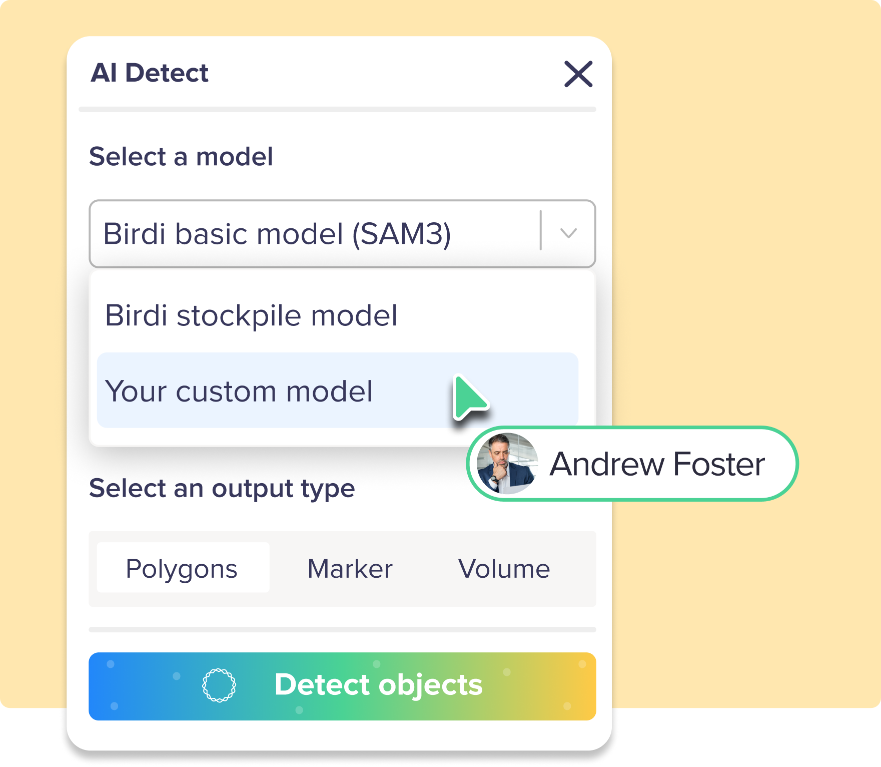 Train a custom geoAI model with Birdi