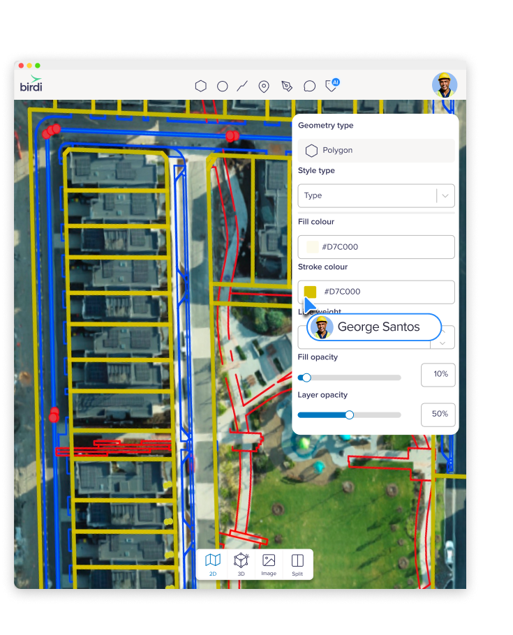 Birdi is built for teams, not just GIS specialists