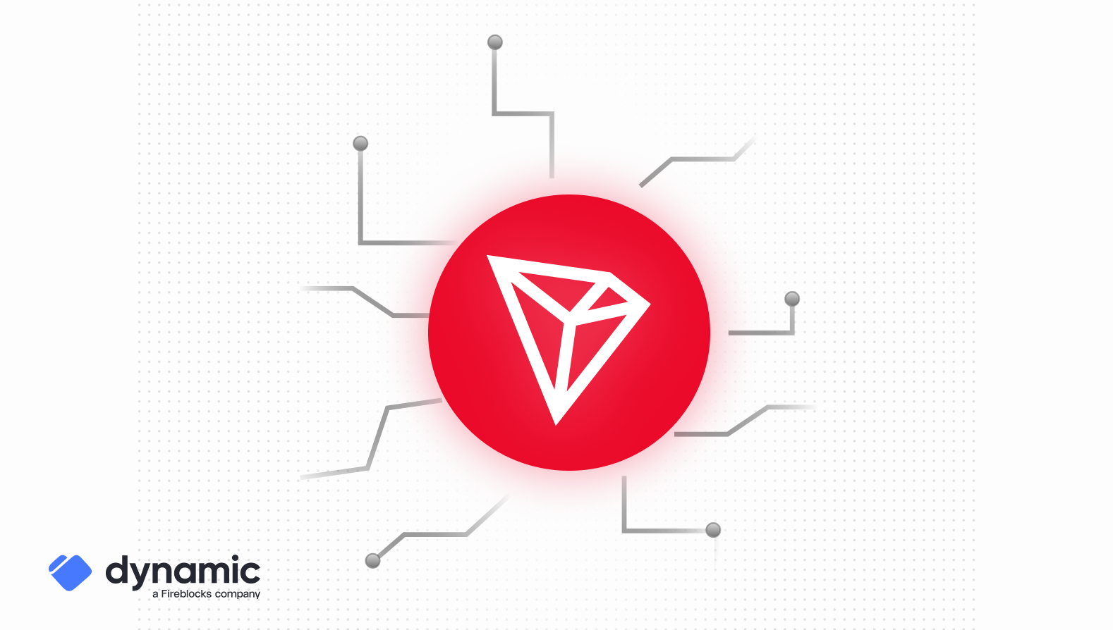 Dynamic Expands Wallet Support to Tron