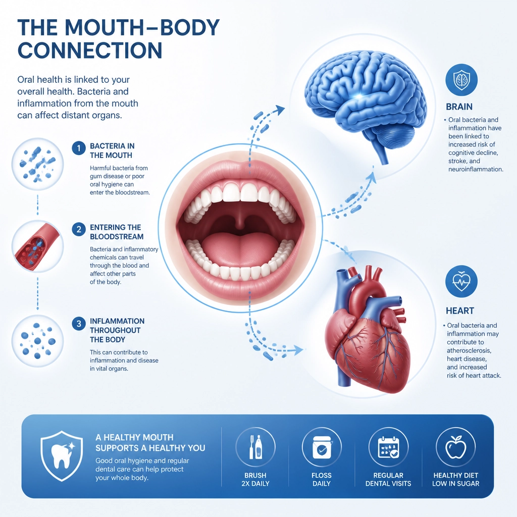A minimalist medical illustration showing the connection between oral health and the heart and brain