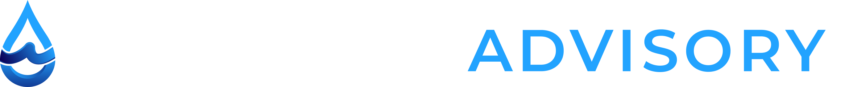 Car Wash Advisory Logo