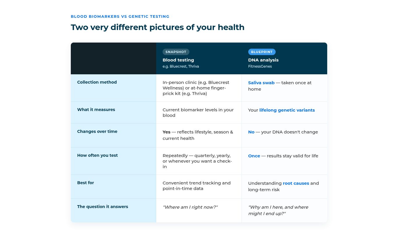 Alt text:  Comparison table titled "Blood Biomarkers vs Genetic Testing: Two very different pictures of your health." Two columns compare Blood Testing (labelled "Snapshot," e.g. Bluecrest, Thriva) and DNA Analysis (labelled "Blueprint," e.g. FitnessGenes) across six rows: Collection method — blood test via clinic or at-home finger-prick kit vs. saliva swab taken once at home; What it measures — current biomarker levels vs. lifelong genetic variants; Changes over time — yes, reflects lifestyle, season, and current health vs. no, DNA doesn't change; How often you test — repeatedly (quarterly, yearly, or on demand) vs. once, with results valid for life; Best for — trend tracking and point-in-time data vs. understanding root causes and long-term risk; The question it answers — "Where am I right now?" vs. "Why am I here, and where might I end up?"