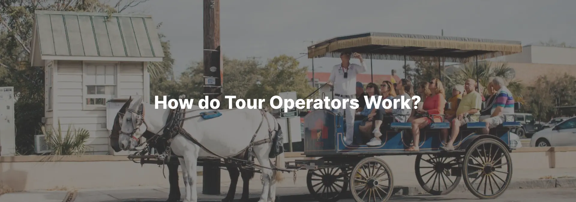 What Do Tour Operators Do To Create Travel Experiences What Do Tour Operators Do To Create Travel Experiences