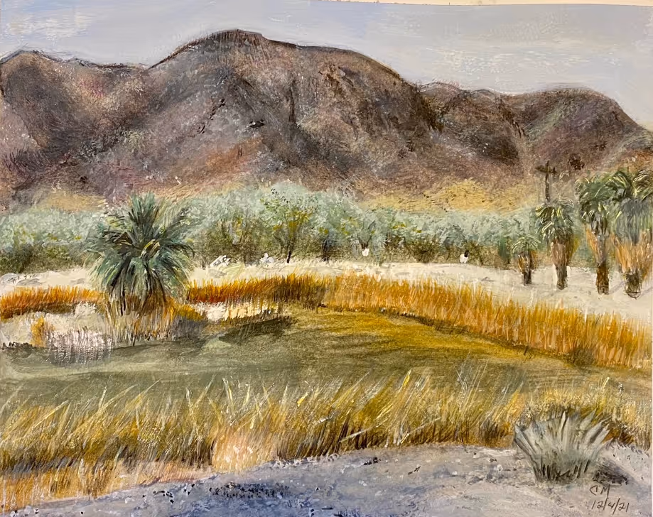 Phyllis's watercolor painting of a desert landscape, using the dry brush technique to achieve texture.