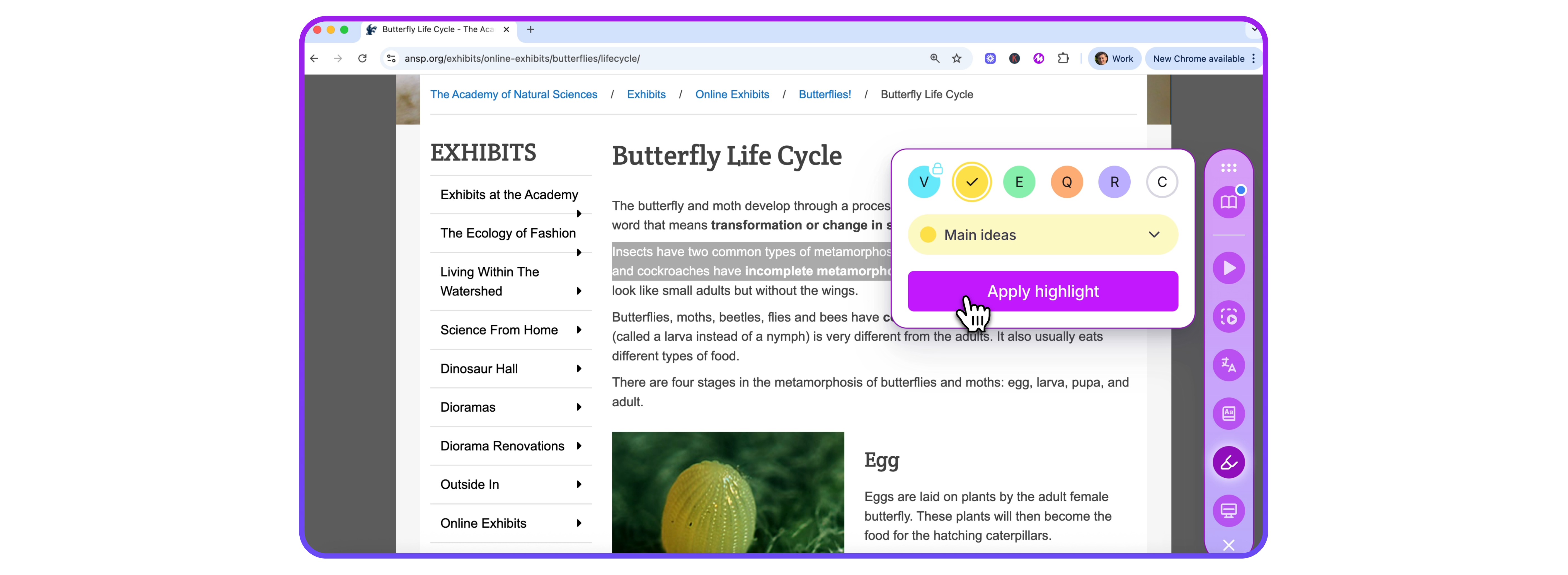 Selecting text to highlight