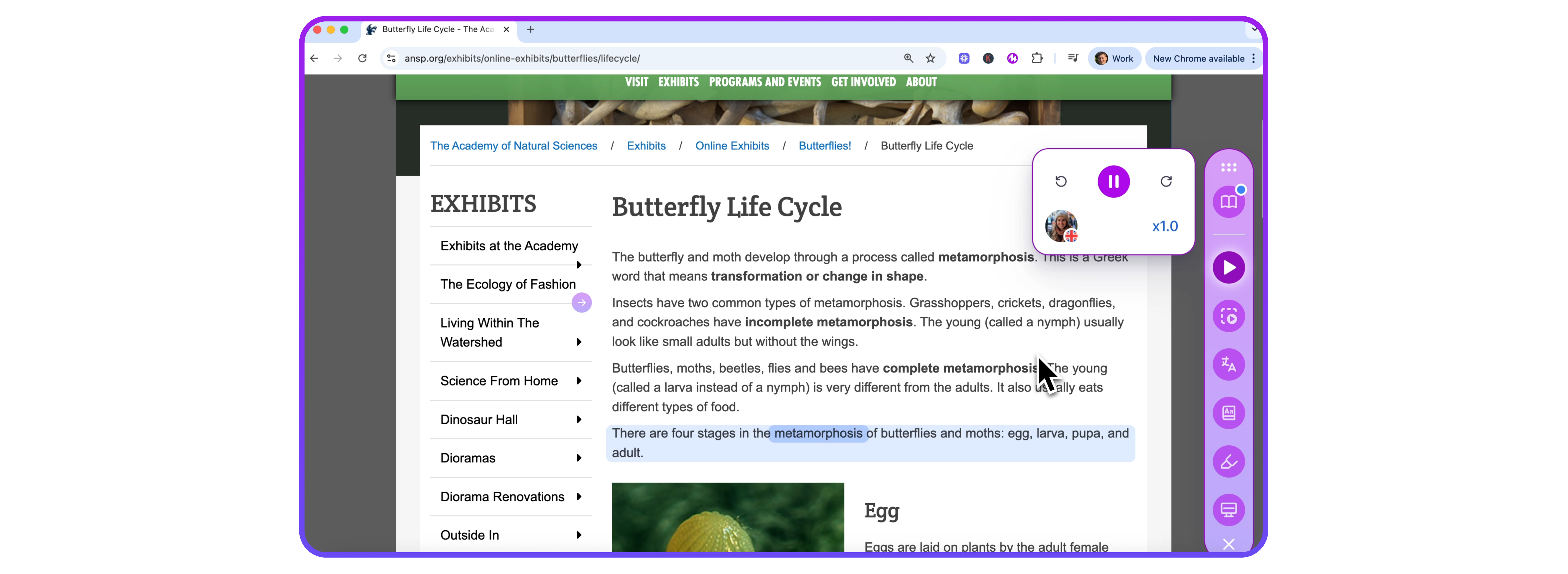 Read Aloud for Students