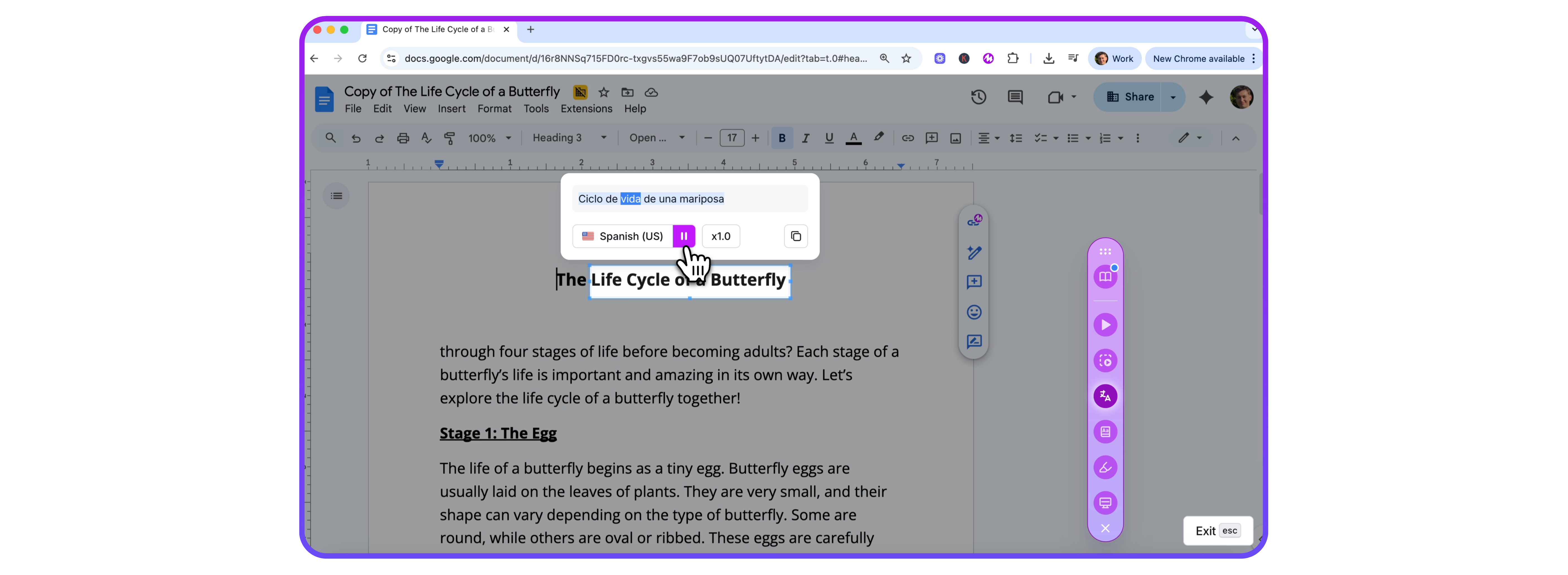 Translation for Students
