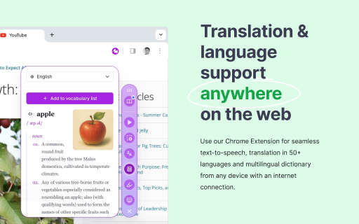 Product demonstration for Voice and Text Translation.
