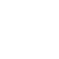 icon wordpress