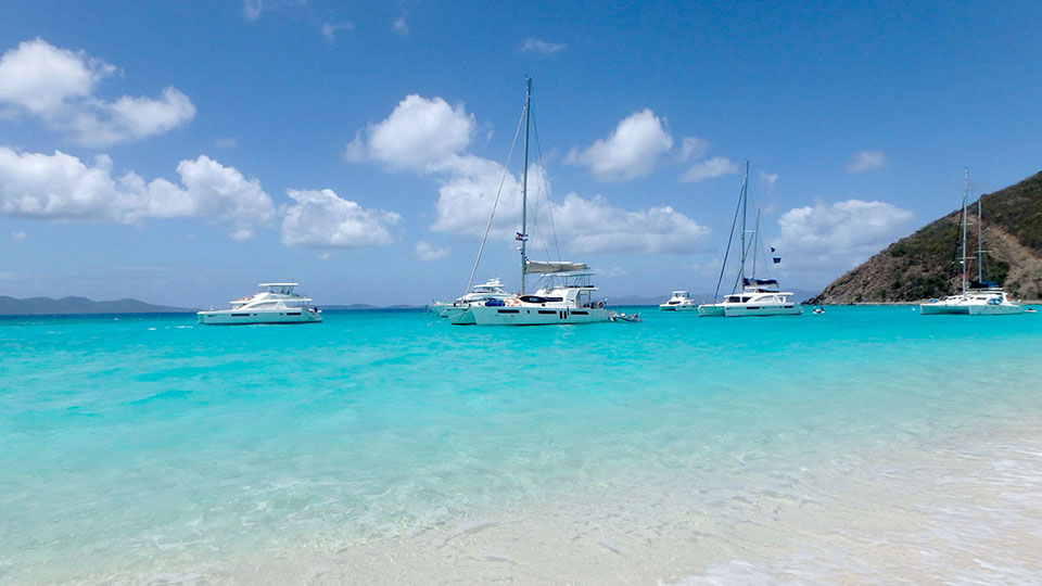 MRN Newsletter April 2025 Image