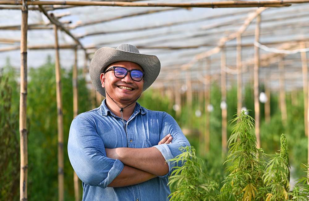 Smiling grower in cannabis greenhouse representing organization and project management.