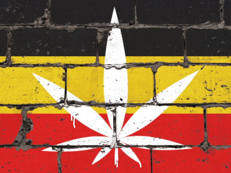 High-Growth Telemedicine Platform Serving the German Medical Cannabis Market