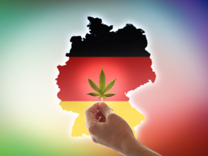 Germany Opportunity: Integrated Cannabis Investment for EU Market Access