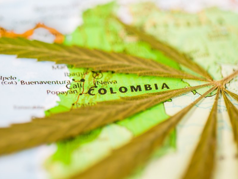 Colombian Cannabis Company Selling into Multiple Global Markets