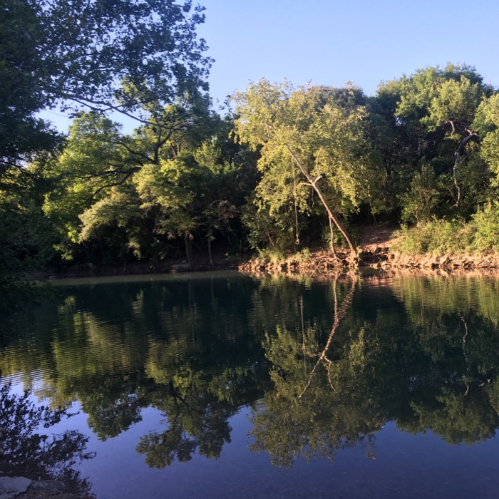 Watering hole in Austin, TX.
