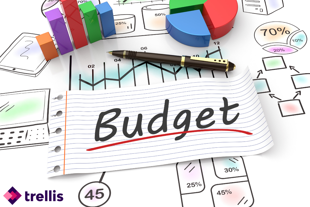 Hit Your Amazon Sales Goals with Budget & Planning from Trellis