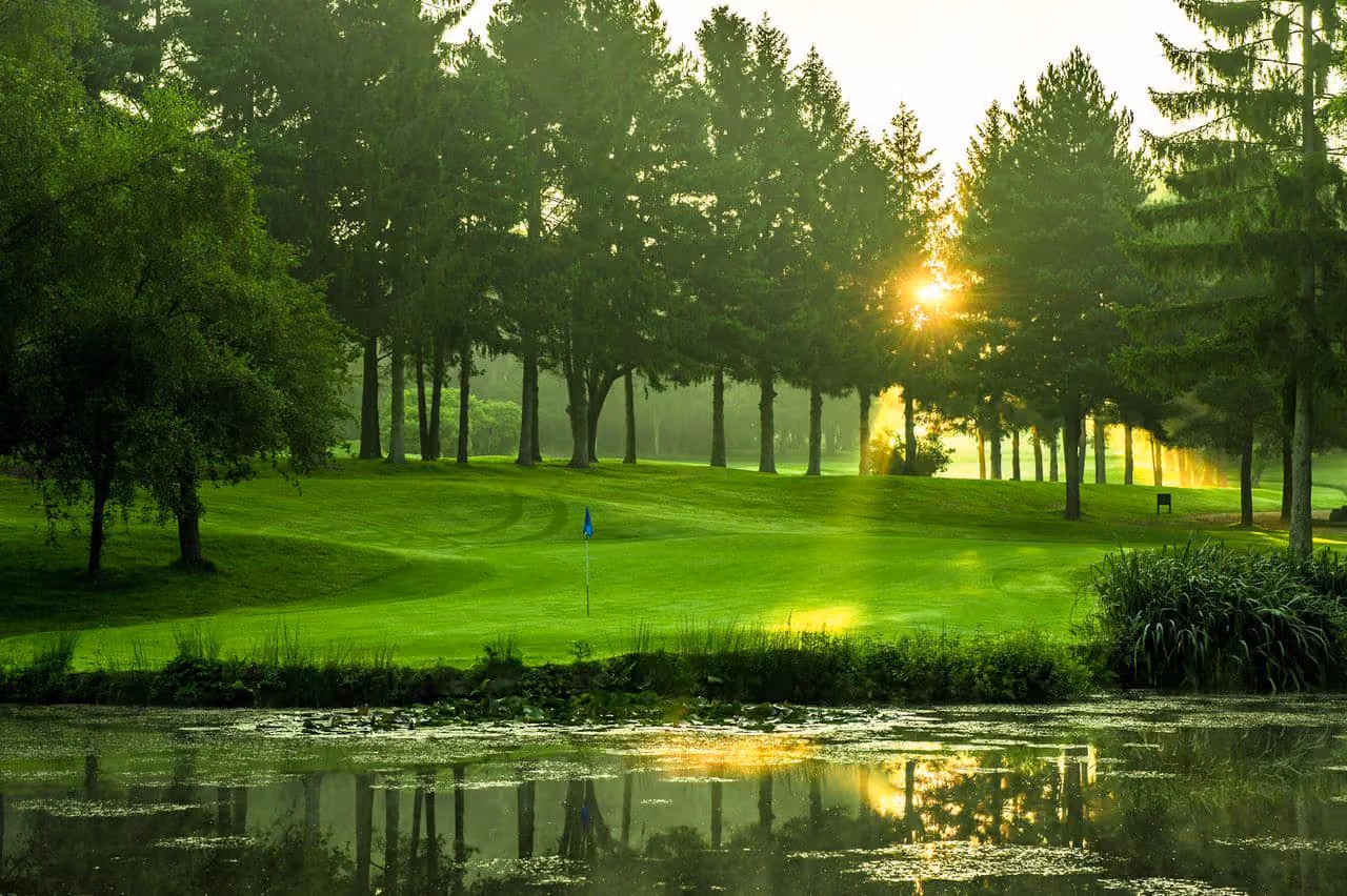 Golf course green
