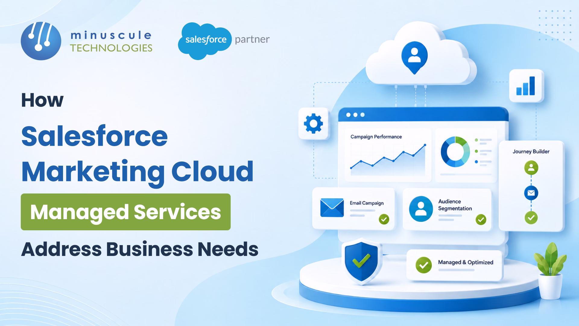 Salesforce Marketing Cloud Managed Services Address Business Needs