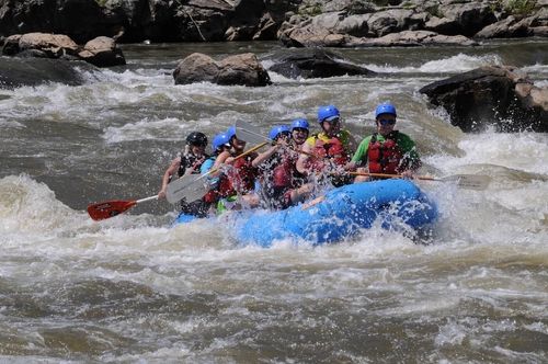 whitewater rafting on French Broad River
