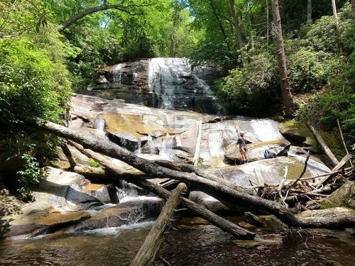 view of waterfall with limbs in front