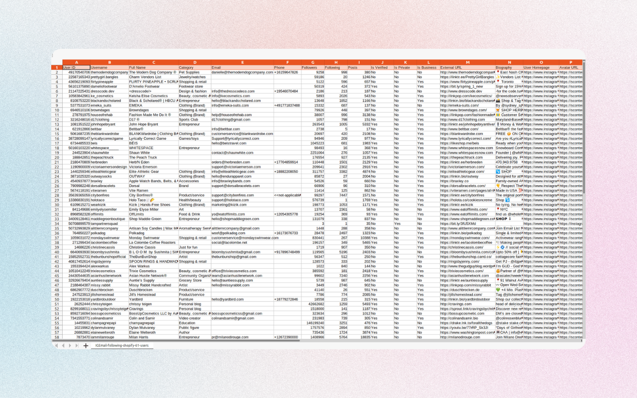 IEmail – Email Extractor for Ins
