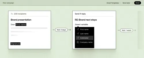 Email campaign workflow showing brand presentation email to 230 recipients with wait periods and variable insertion options.