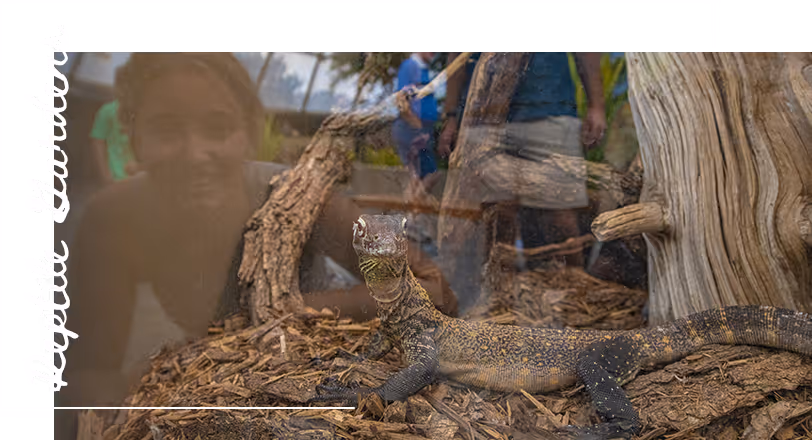 Reptile Gardens