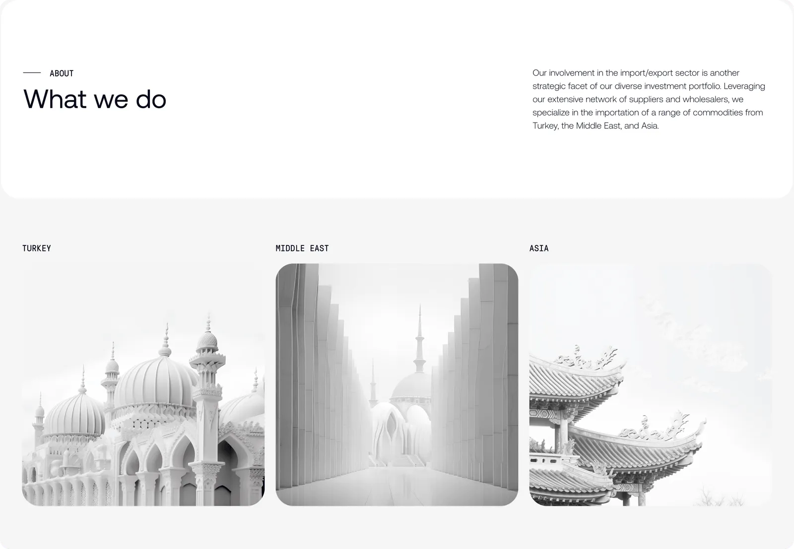 Section titled 'What we do' describing import/export investments, with architectural images representing Turkey, the Middle East, and Asia below.