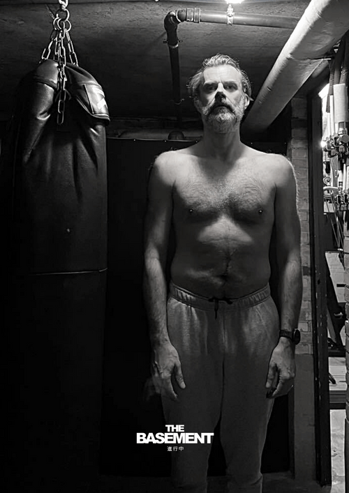 Patrick Van Gaelen (referentie van The Basement)