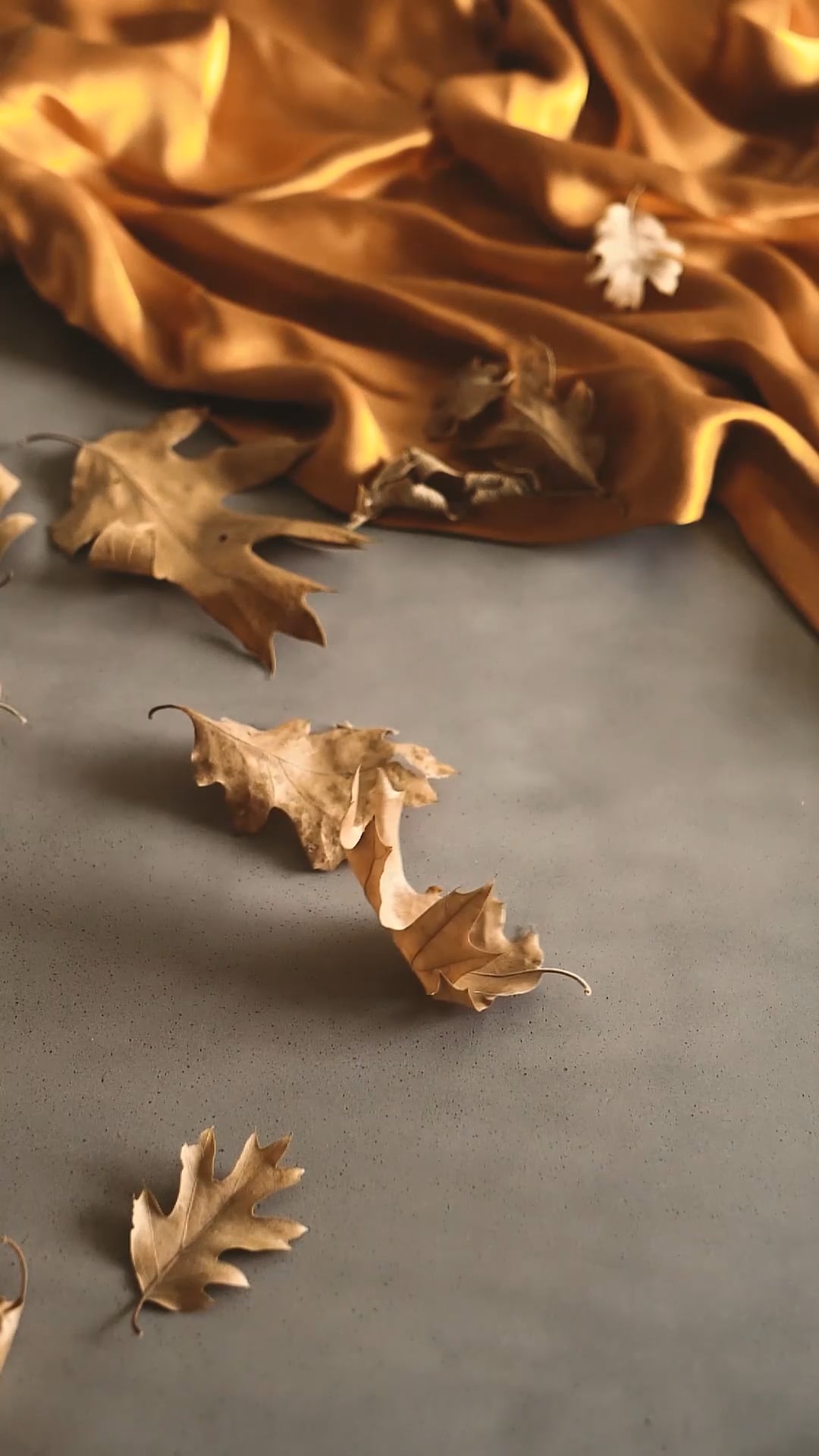 Autumn Ambience Pack