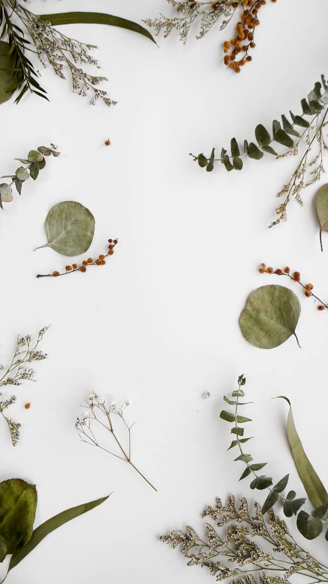 Beauty Botanicals Pack