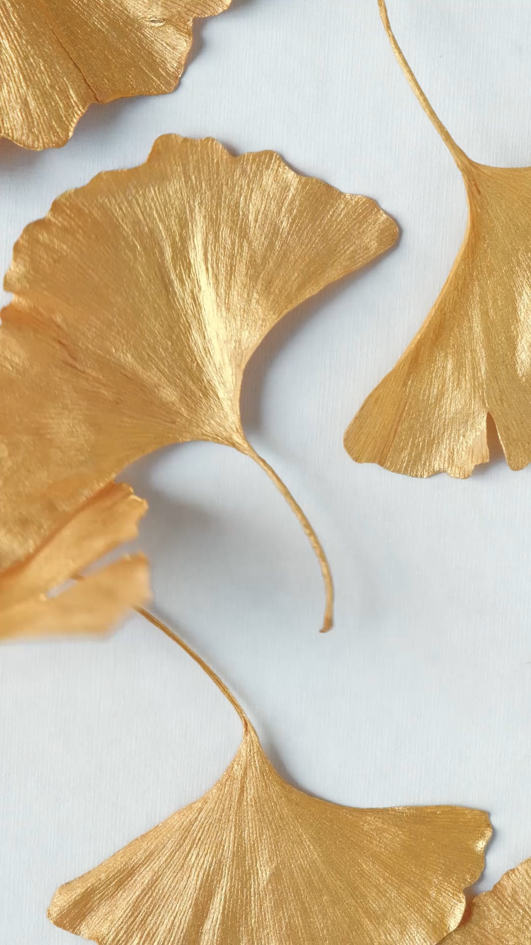 Gold Leaf Pack