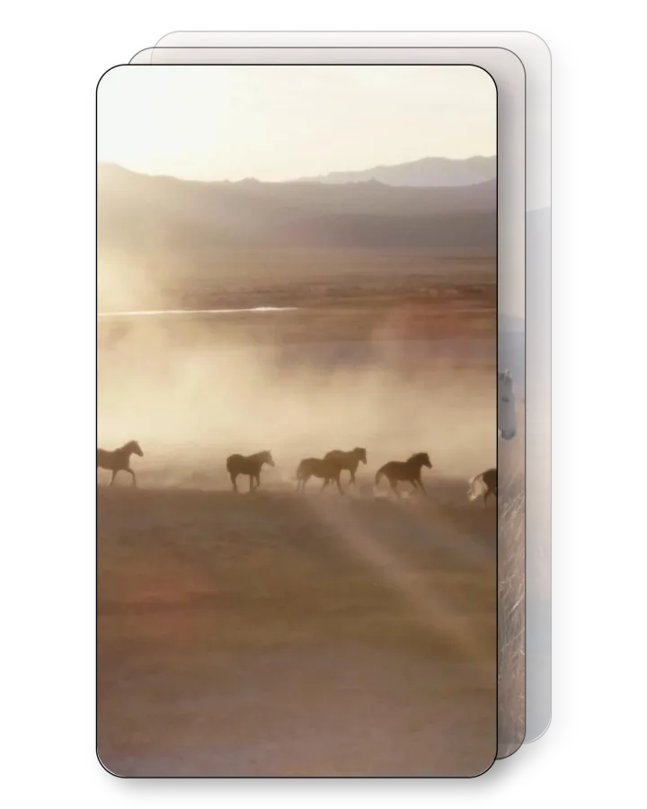 Equestrian Dreams Pack