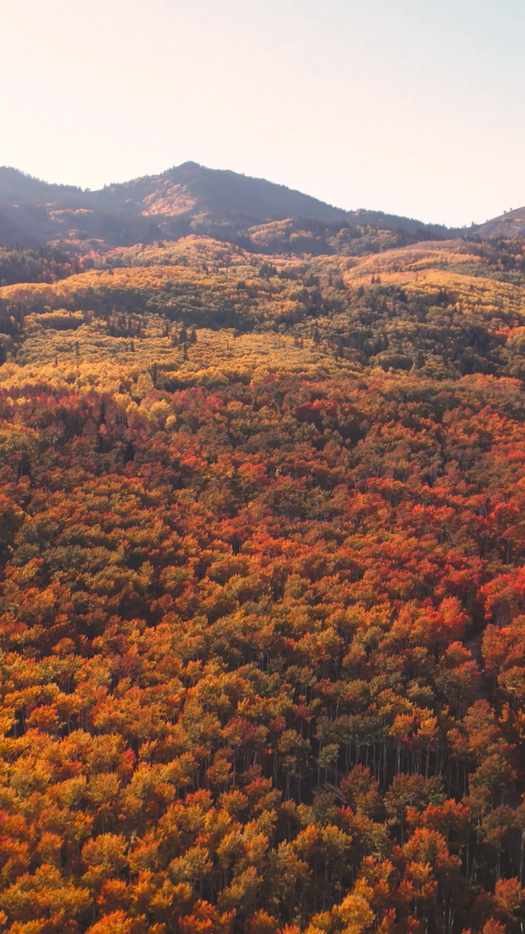 Utah Foliage Pack