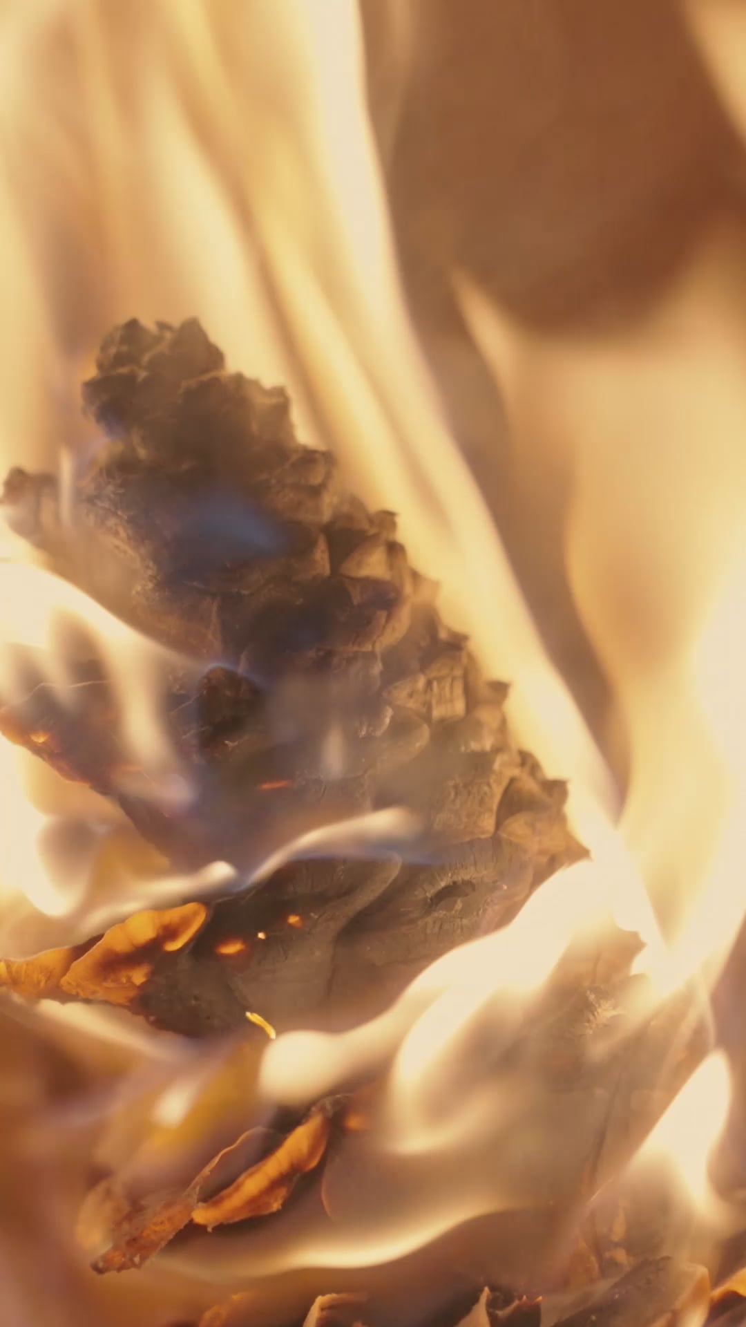 Campfire Pack