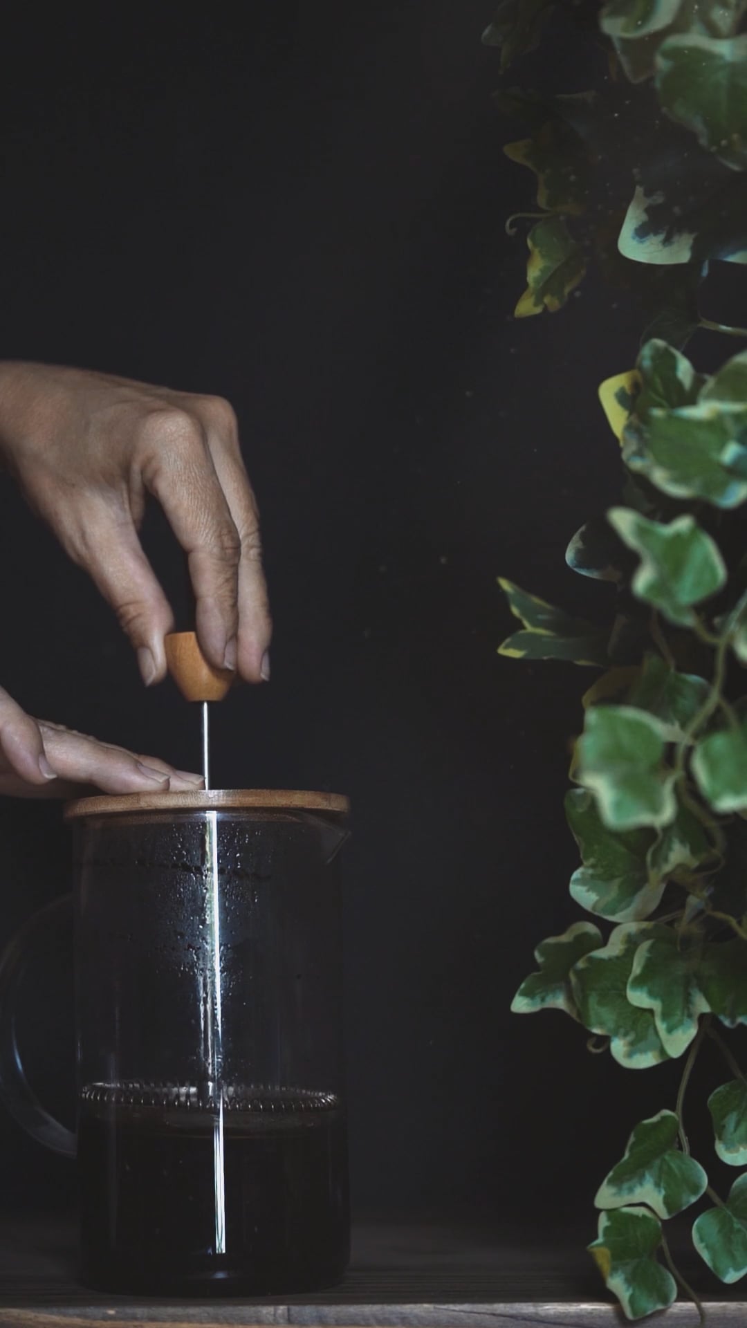 French Press Morning Pack